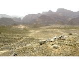 Sinai desert